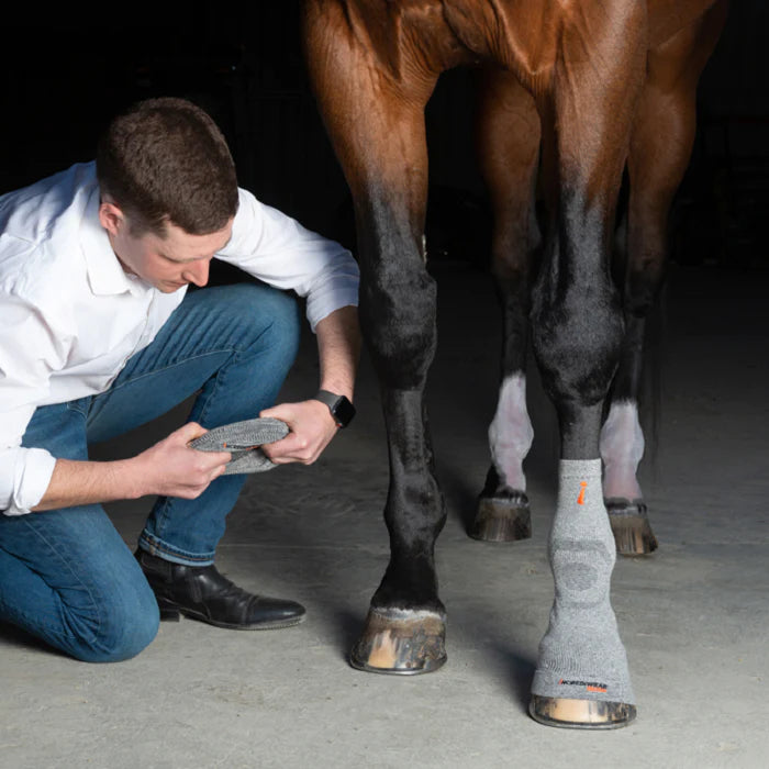 Grey Incrediwear Circulation Hoof Socks